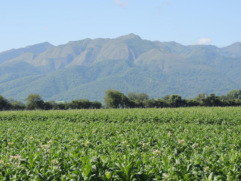 Finca Las Margaritas Chicoana Zewnętrze zdjęcie