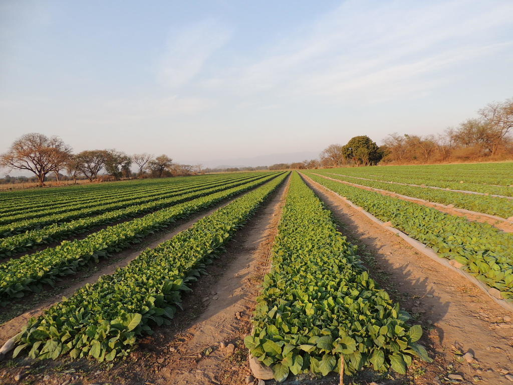 Finca Las Margaritas Chicoana Zewnętrze zdjęcie